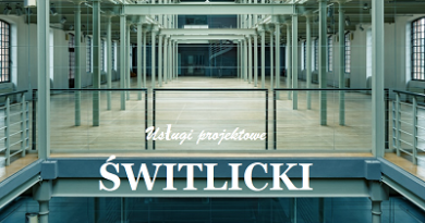 logo_switlicki